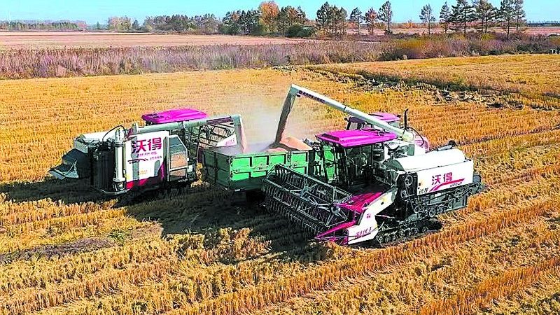 小型颗粒饲料机定制：为什么你的设备总卡料